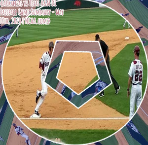 Razorback baseball score