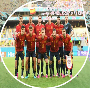 Spain euro cup